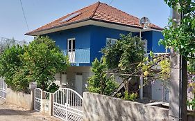 Casa Azul Vales